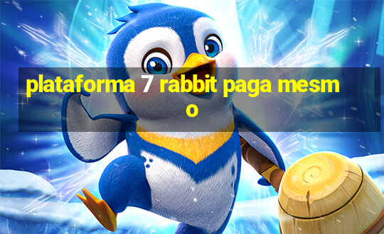 plataforma 7 rabbit paga mesmo