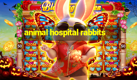 animal hospital rabbits