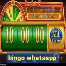 bingo whatsapp