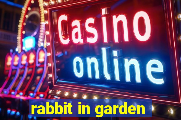 rabbit in garden