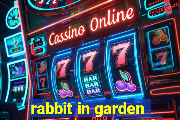 rabbit in garden