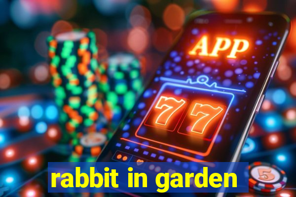 rabbit in garden