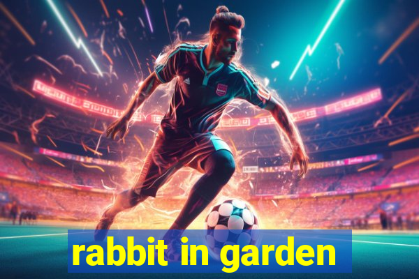 rabbit in garden