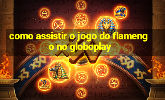 como assistir o jogo do flamengo no globoplay