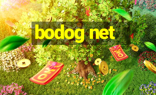 bodog net