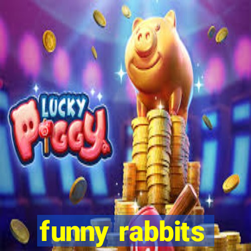 funny rabbits