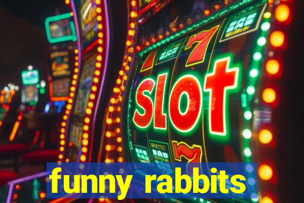 funny rabbits