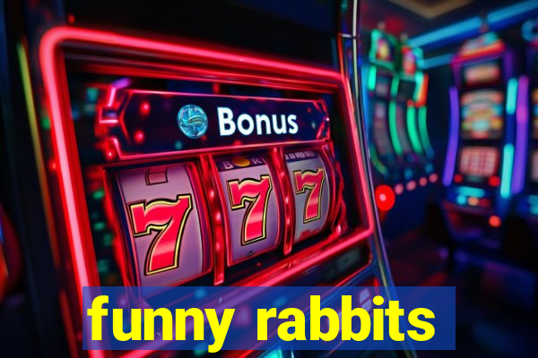 funny rabbits