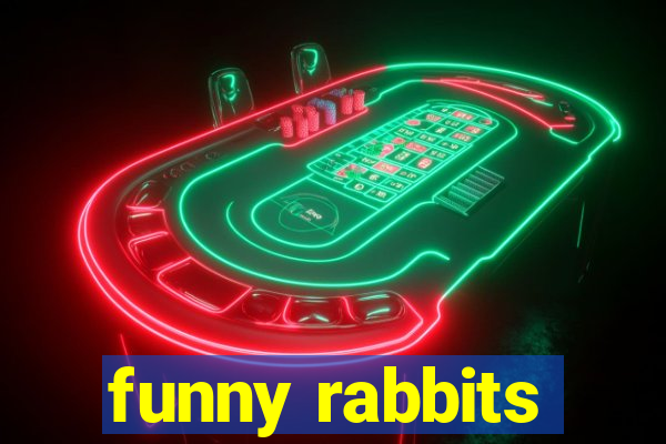 funny rabbits