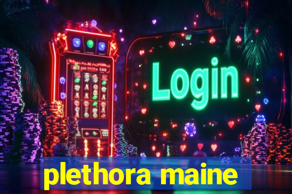 plethora maine