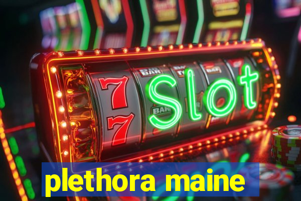 plethora maine