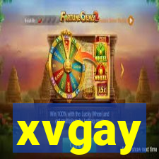 xvgay