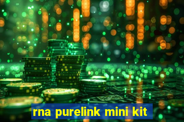 rna purelink mini kit