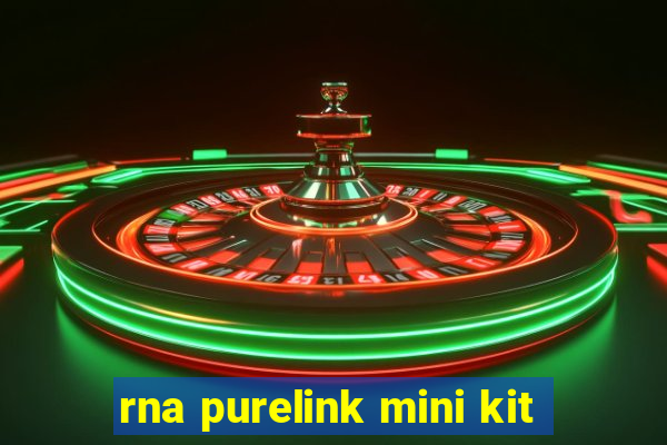 rna purelink mini kit