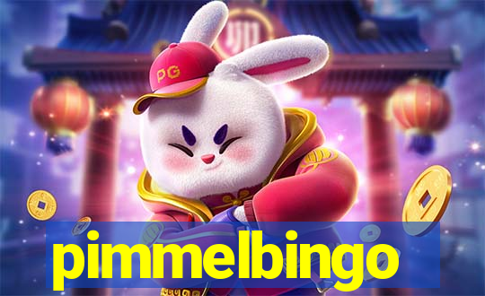 pimmelbingo