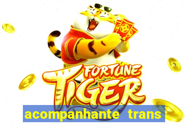 acompanhante trans em santos