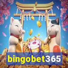 bingobet365