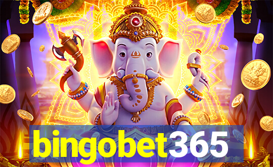 bingobet365