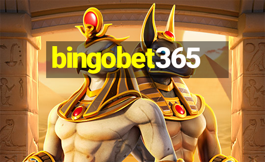 bingobet365