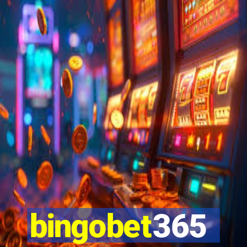 bingobet365