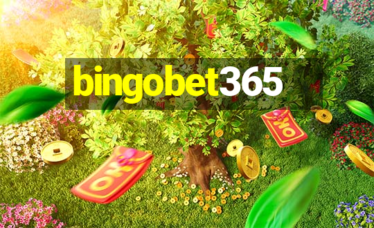 bingobet365