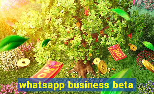 whatsapp business beta