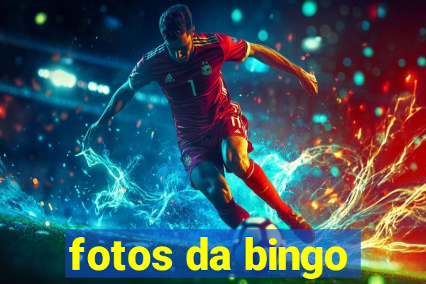 fotos da bingo