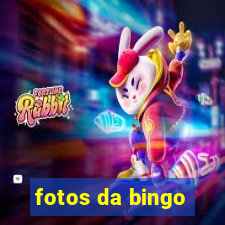 fotos da bingo