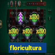 floricultura cruzeiro novo