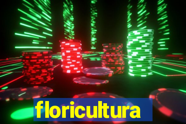 floricultura cruzeiro novo