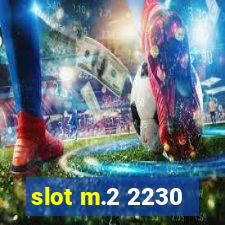 slot m.2 2230