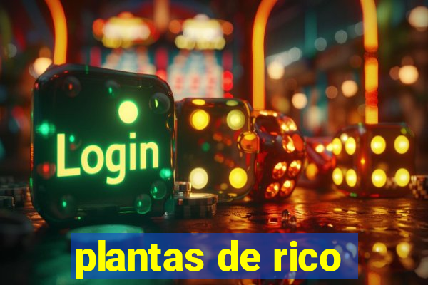 plantas de rico