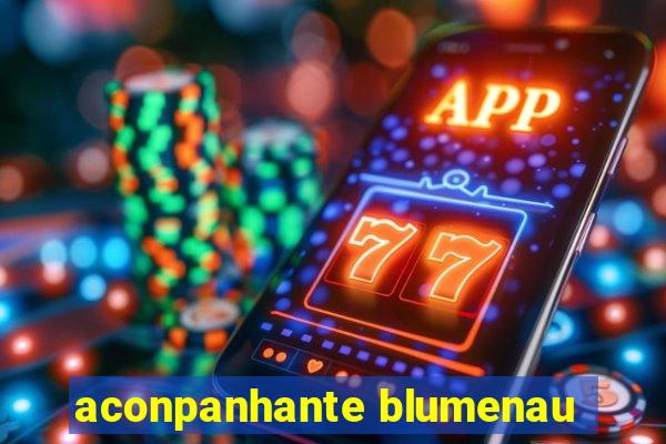 aconpanhante blumenau