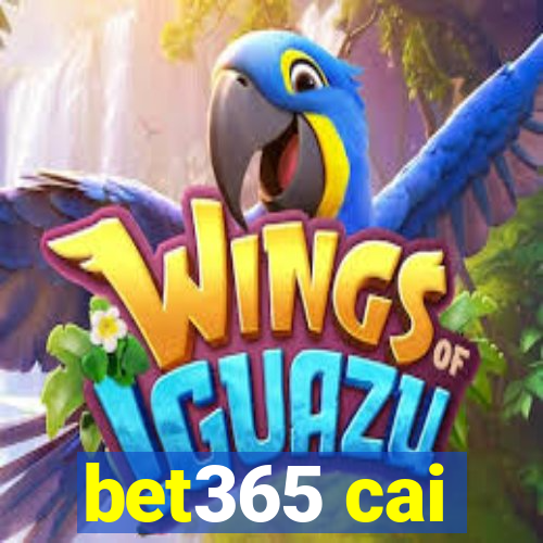 bet365 cai