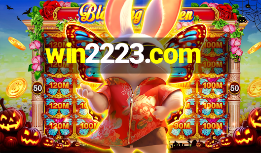 win2223.com