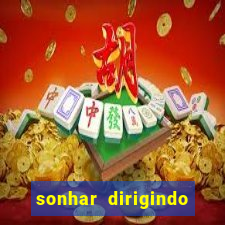 sonhar dirigindo carro jogo do bicho