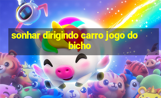 sonhar dirigindo carro jogo do bicho