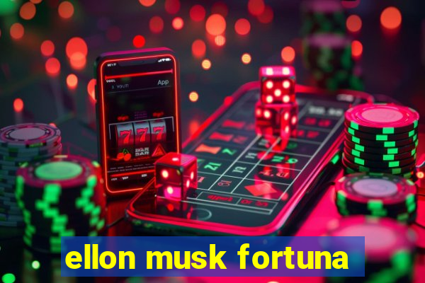 ellon musk fortuna