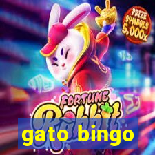 gato bingo