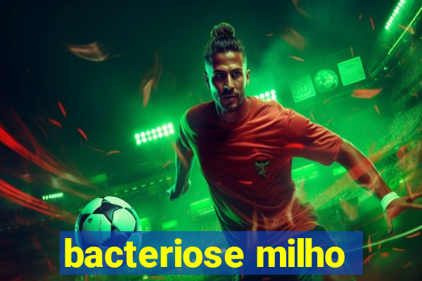 bacteriose milho