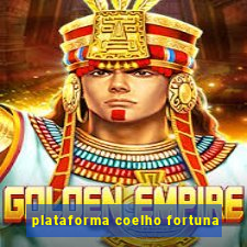 plataforma coelho fortuna