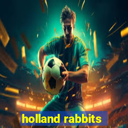 holland rabbits