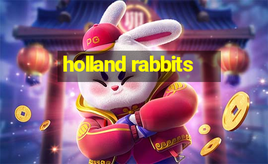 holland rabbits