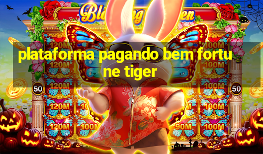 plataforma pagando bem fortune tiger