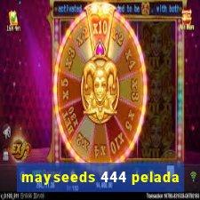 mayseeds 444 pelada