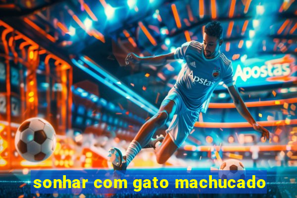 sonhar com gato machucado