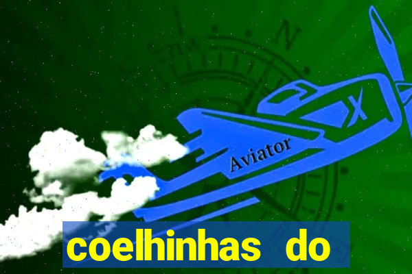 coelhinhas do brasil site