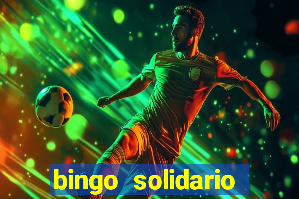 bingo solidario como organizar