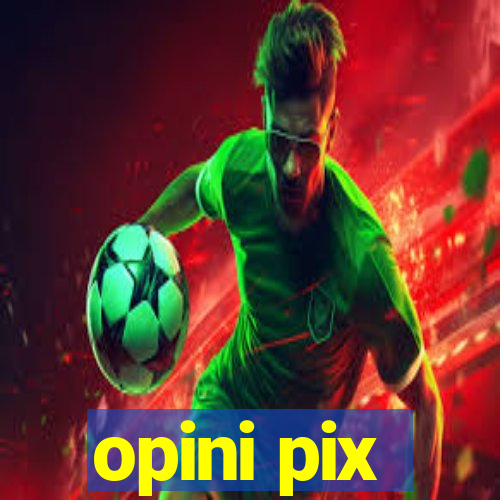 opini pix