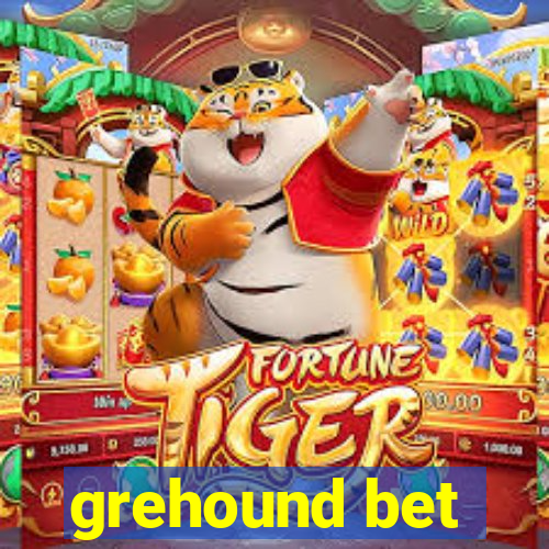 grehound bet